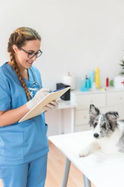 Gülümseyen kadın veteriner, köpek masası kliniğinde pano yazıyor. Yüksek çözünürlüklü fotoğraf