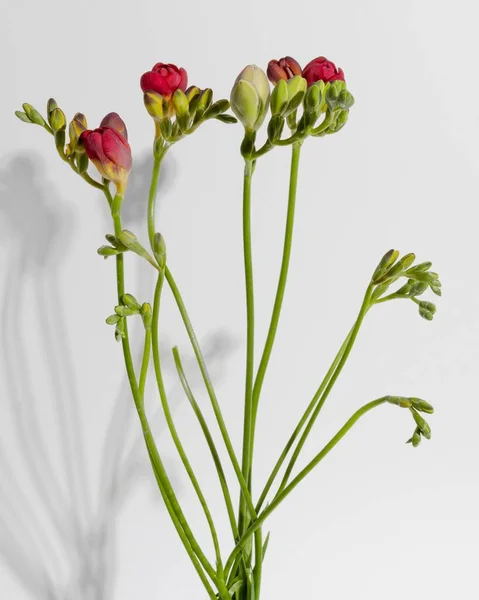 Blütenvasen Tisch Vorhanden Foto Hoher Auflösung — Stockfoto
