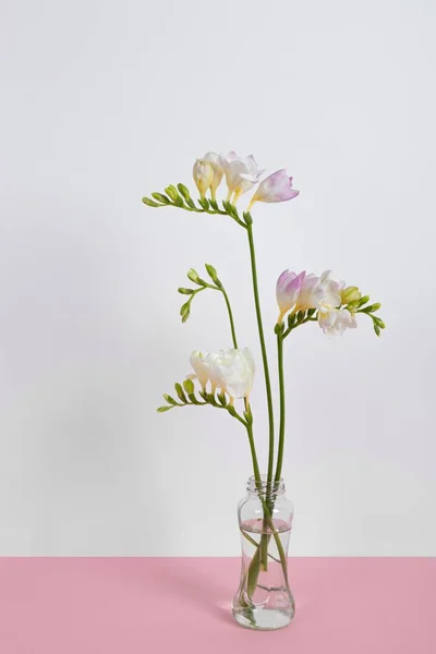 Blossom Flowers Vase Table High Resolution Photo — Stock Photo, Image