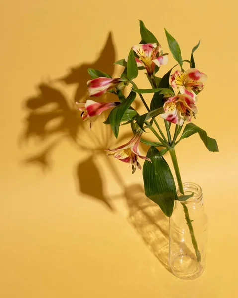 Fleur Fleur Vase Table Photo Haute Résolution — Photo
