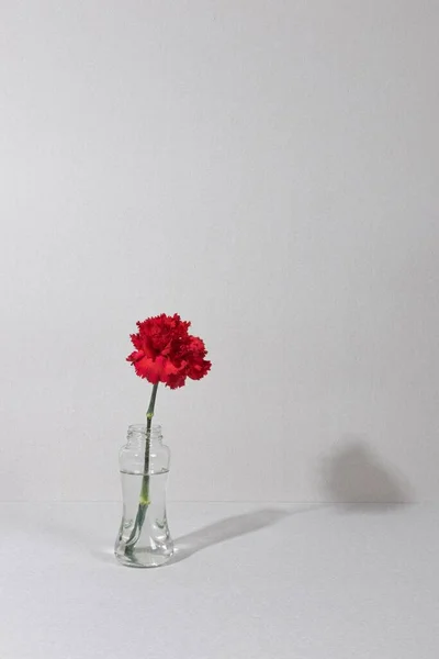 Fleur Fleur Vase Table Photo Haute Résolution — Photo
