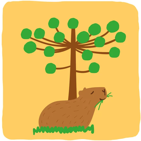 Capybara Brésilien Avec Araucaria Arbre Dessin Main Vecteur — Image vectorielle