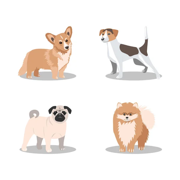 Четыре популярные породы маленьких собак — стоковый вектор