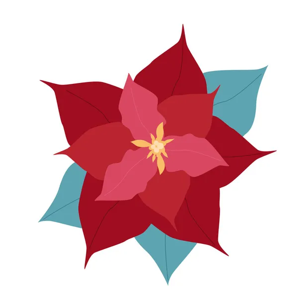 Червона квітка Нового року в Пуансетті — стоковий вектор