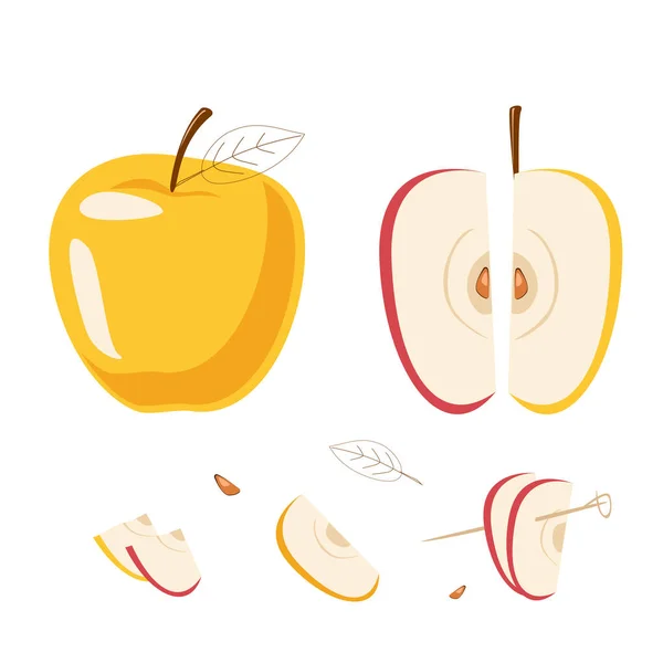 Set of apples and slices — Stok Vektör