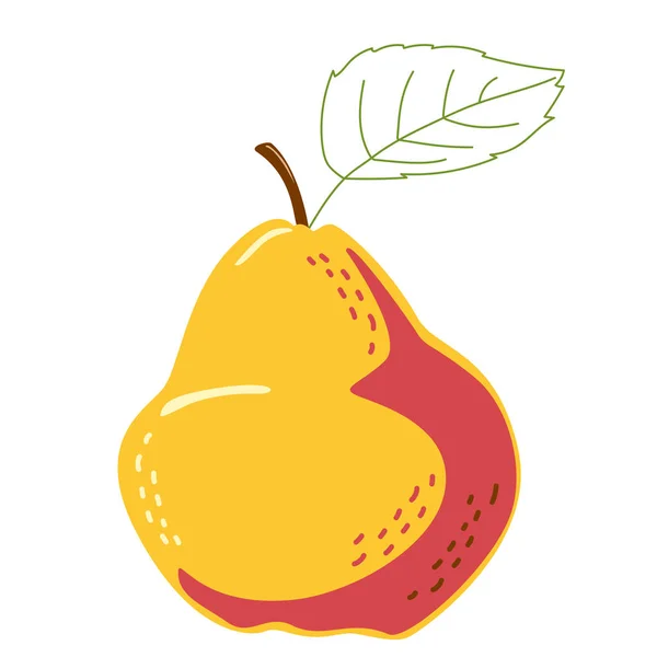 One juicy pear with a leaf — Stok Vektör