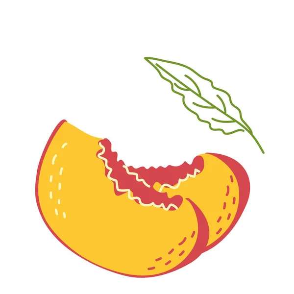 İki dilim sulu sarı-kırmızı şeftali ve bir yaprak — Stok Vektör