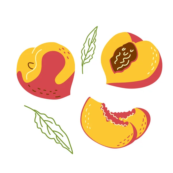 Набор сочных персиков целиком и пополам — стоковый вектор