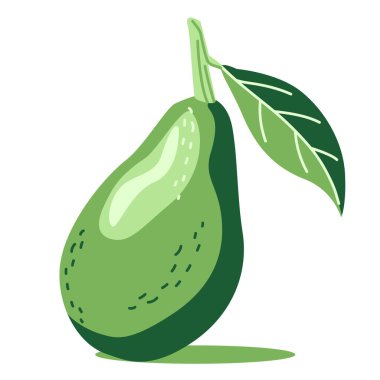 Yapraklı yeşil avokado.