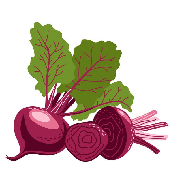 Conjunto Remolachas Forma Entera Rodajas Verduras Saludables Ilustración Vectorial Aislada — Archivo Imágenes Vectoriales