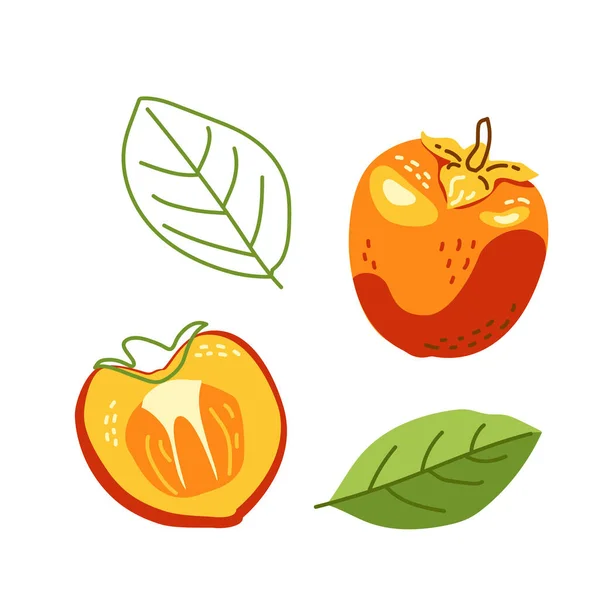 Persimmon Juteux Pour Une Alimentation Saine Fruits Sains Jardin Illustration — Image vectorielle