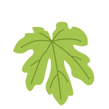 Bir yeşil incir yaprağı. Beyaz arkaplanda el çizimi biçiminde vektör illüstrasyonu