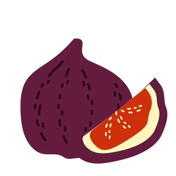 Fruta Higo Púrpura Exótica Ilustración Dibujada Mano Vectorial Aislada Sobre — Archivo Imágenes Vectoriales