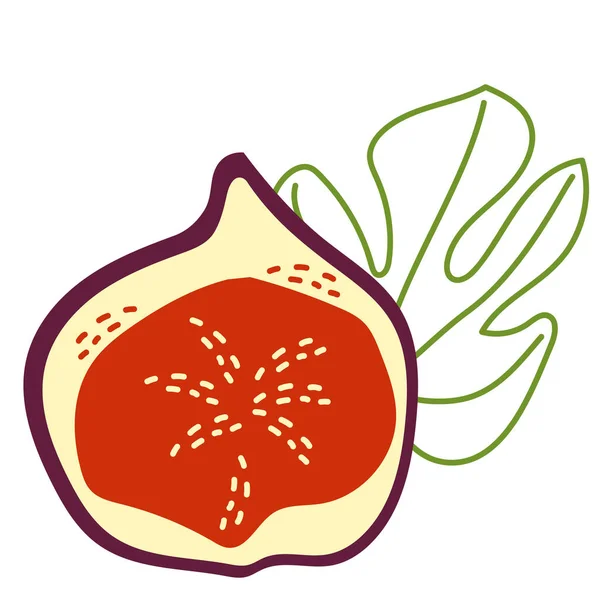 Mitad Una Fruta Higo Púrpura Exótica Con Una Hoja Ilustración — Archivo Imágenes Vectoriales