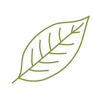 Karalama tarzında bir yeşil yaprak. Beyaz arkaplanda izole edilmiş vektör illüstrasyonu