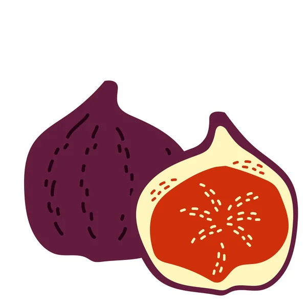 Figs are whole and half — Stock Vector