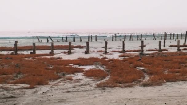 Panorama wybrzeża morskiego z drewnianymi stosami, glonami na piasku. Zimne, pochmurne, zimowe — Wideo stockowe