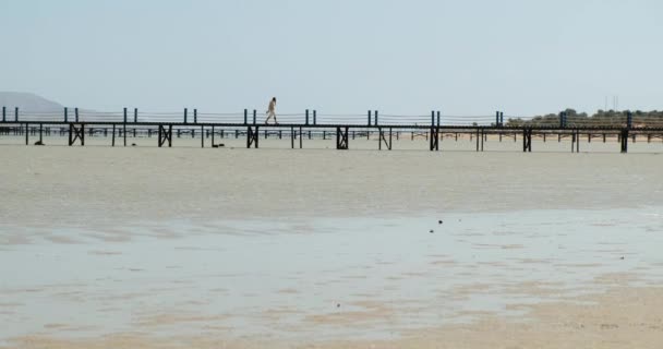Drewniane molo podczas odpływu, w pogodny słoneczny dzień. Szerokie ujęcie, mężczyzna idzie drewnianym mostem do brzegu. — Wideo stockowe