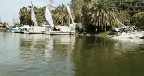 Vue depuis le bateau, promenade le long de la rivière nile au Caire. Sur le rivage, il y a des yachts avec voiles pliées, des palmiers verts par une journée ensoleillée — Video