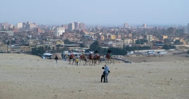 Vista da antiga cidade do Cairo, no Egito. O grupo turístico em camelos desce à cidade. Dia claro, tiro largo, câmera lenta — Vídeo de Stock