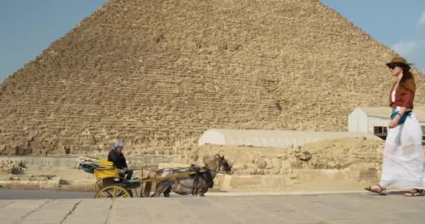 Νεαρή γυναίκα σε ένα καπέλο και λευκό φόρεμα περπατά παρελθόν η Μεγάλη Πυραμίδα της Γκίζας στο Κάιρο της Αιγύπτου. Προς μια άμαξα με ένα άλογο με ένα ντόπιο Αιγύπτιο. Καθαρή μέρα, πλατιά βολή, αργή κίνηση — Αρχείο Βίντεο