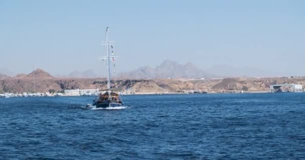 Ett gammalt träskepp, bogutsikt, med sänkta segel, dyker upp ur viken. Utsikt över hamnen i Sharm El Sheikh, öken, sand, brygga. — Stockvideo