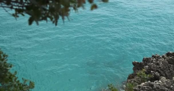 Widok z góry turkusowy przezroczysta woda w morzu jońskim. Spokojne fale, kawałek skalistego brzegu i drzewo. — Wideo stockowe