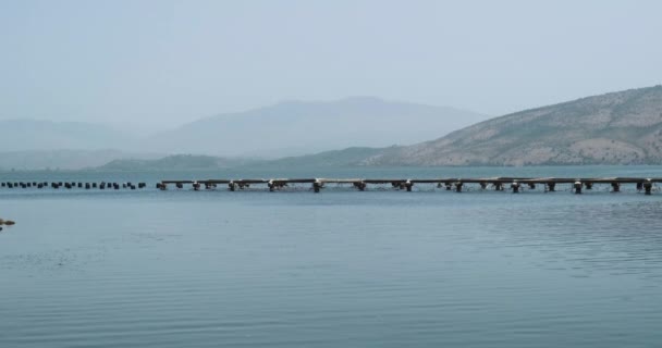 Widok z brzegu do hodowli małży w Albanii, na tle spokojnej wody i wysokich gór. — Wideo stockowe