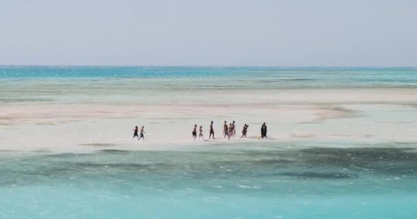 Un groupe de personnes sur l'île blanche de Ras Mohamed, les genoux profonds dans l'eau en mouvement. Jour clair, île paradisiaque, eau turquoise et brise forte. — Video