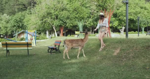 公园里的一个女孩用她的手喂鹿.他们去见彼此，一个成年鹿和一个戴帽子的女人。晴天，宽射门，慢动作 — 图库视频影像
