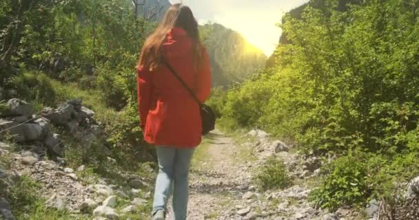 Кавказька дівчина з довгим волоссям йде гірською стежкою лісу, оточена зеленими деревами в Альпах. Погляд ззаду, день, широкий постріл, помаранчеве сонце — стокове відео