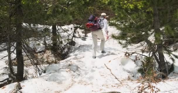 Chuda dziewczyna z plecakiem w letnich ubraniach wspina się w śniegu w Alpach wśród zielonego lasu z sosnami. Dzień, szeroki strzał, widok z tyłu, zwolnione tempo — Wideo stockowe