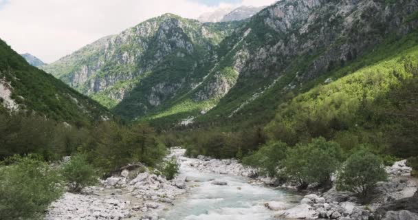 Alpine Berge und ein Fluss mit einer schnellen Strömung von Wasser und blauem Wasser, das durch den grünen Wald fließt. Auf den Gipfeln ist Schnee zu sehen. Tagsüber, Frühling, Sommer, Alpen — Stockvideo