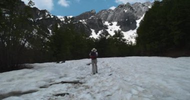 Sırt çantalı bir kadın, yeşil bir ormanın içinde, karların arasından yukarı tırmanıyor. Gündüz, mavi gökyüzü, geniş açı, vahşi yaşam.
