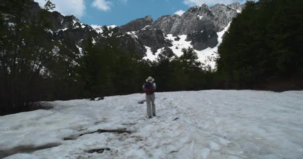 Vrouw met een hoed met rugzak klimt bergop door de sneeuw tussen een groen bos. Overdag, blauwe lucht, wijd open schot, wilde dieren. — Stockvideo