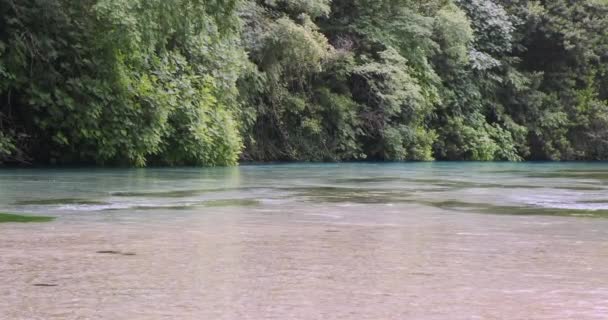 Foresta verde, trasparente flusso d'acqua pulita del fiume, magico colore turchese. Albania occhio blu — Video Stock