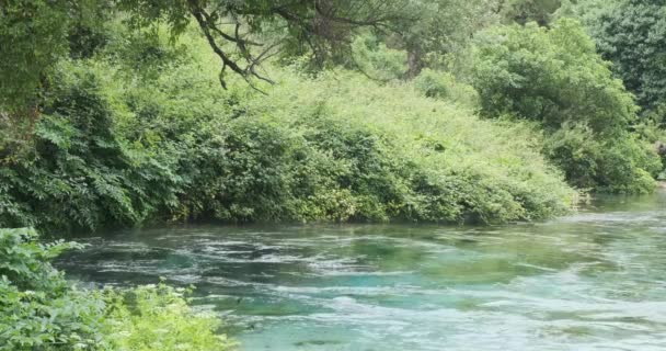 阿尔巴尼亚一个岩溶泉的侧视图。神奇的绿松石水从地下喷涌而出，五彩斑斓的绿叶环绕着，蓝色蜻蜓飞翔 — 图库视频影像