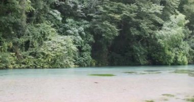 Nehrin karşı kıyısında yeşil orman var. Turkuaz temiz su akıntısı. Dokunulmamış mükemmel bir doğa. Gündüz, yaz, orta çekim, yavaş çekim