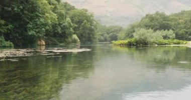 Yazın yeşil bir orman ve dağların zeminine karşı nehrin büyülü manzarası. Böcekler sakin saydam suda uçarlar. Harikalar Diyarı. Geniş açı, öğleden sonra güneşi