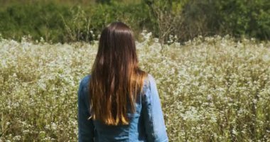 Genç, uzun saçlı bir kadın yeşil bir ormanın önünde büyüyen papatya ormanına yaklaşır. Arkadan görüntü, orta boy, gündüz, yaz