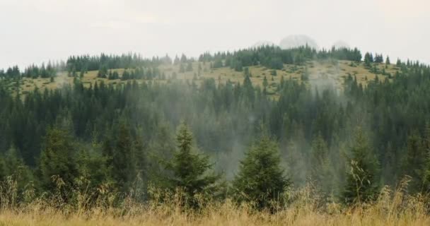 저 멀리 산에 있는 푸른 숲 사이에 있는 하얀 집들을 바라보라. 파미르, 카르파티아, 우크라이나, 유럽. — 비디오