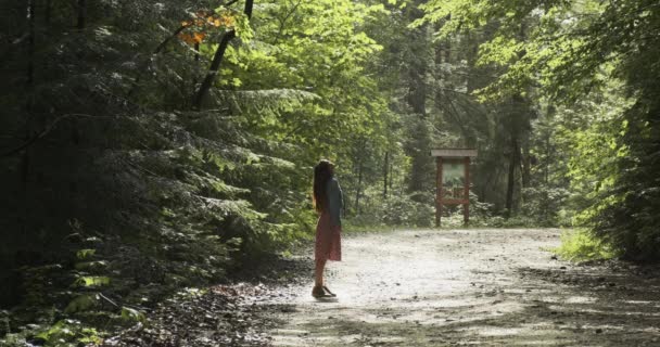 Молода жінка стоїть на мокрій лісовій дорозі після дощу і дивиться на яскраве сонце, яке проривається крізь листя дерев. Широкий постріл, сонячна дорога — стокове відео