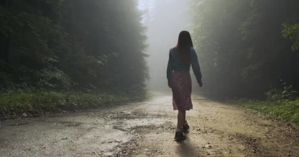 Woman got lost in the forest. A lonely long-haired girl walks along a wet forest road into the fog. Look around you in a scary forest. — Vídeos de Stock
