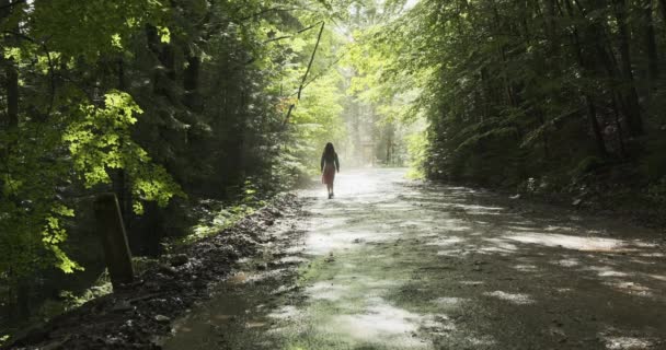Самотня молода дівчина йде до проблиску сонця в лісі. Зелений ліс, весна, ґрунтова дорога в тіні дерев . — стокове відео
