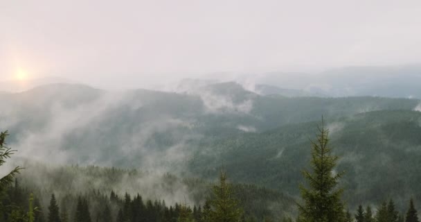 Восход солнца в горах. Зеленый лес, туман, солнце садится на вершину — стоковое видео