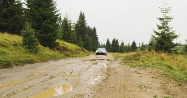 白いSUVは、モミの木と森の間の道路上の泥や水たまりを克服します.広いショット、昼間、夏、春、フロントビュー — ストック動画