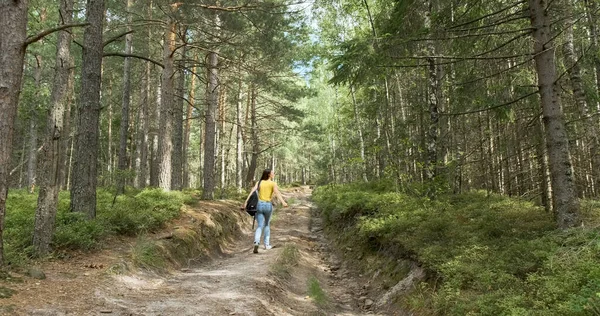 Sırt çantasıyla orman yoluna tırmanan genç bir kadın. Vahşi kozalaklı ağaçların arasında temiz havada yürü.
