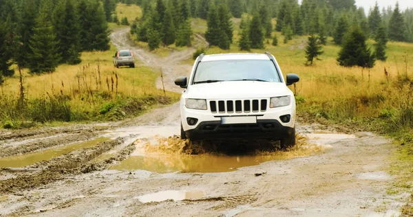 White SUV, driving through a stupid puddle in the forest in the mountains. Front view, car travel in Carpathians, Ukraine, Europe — Stock Fotó