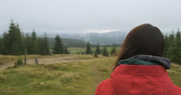 Девушка смотрит на лес и туманные горы. Вид сзади, крупным планом, ветрено и прохладно. Весна, лето в Карпатах, Украина, Европа. — стоковое видео