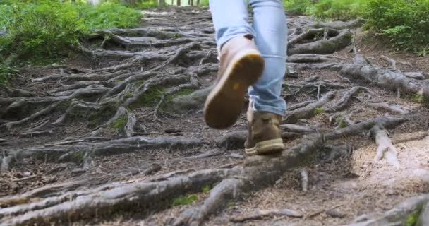 女人的腿紧密相连，穿着远足靴，从树根爬上森林小径. — 图库视频影像